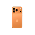 17 Pro Max Vendor